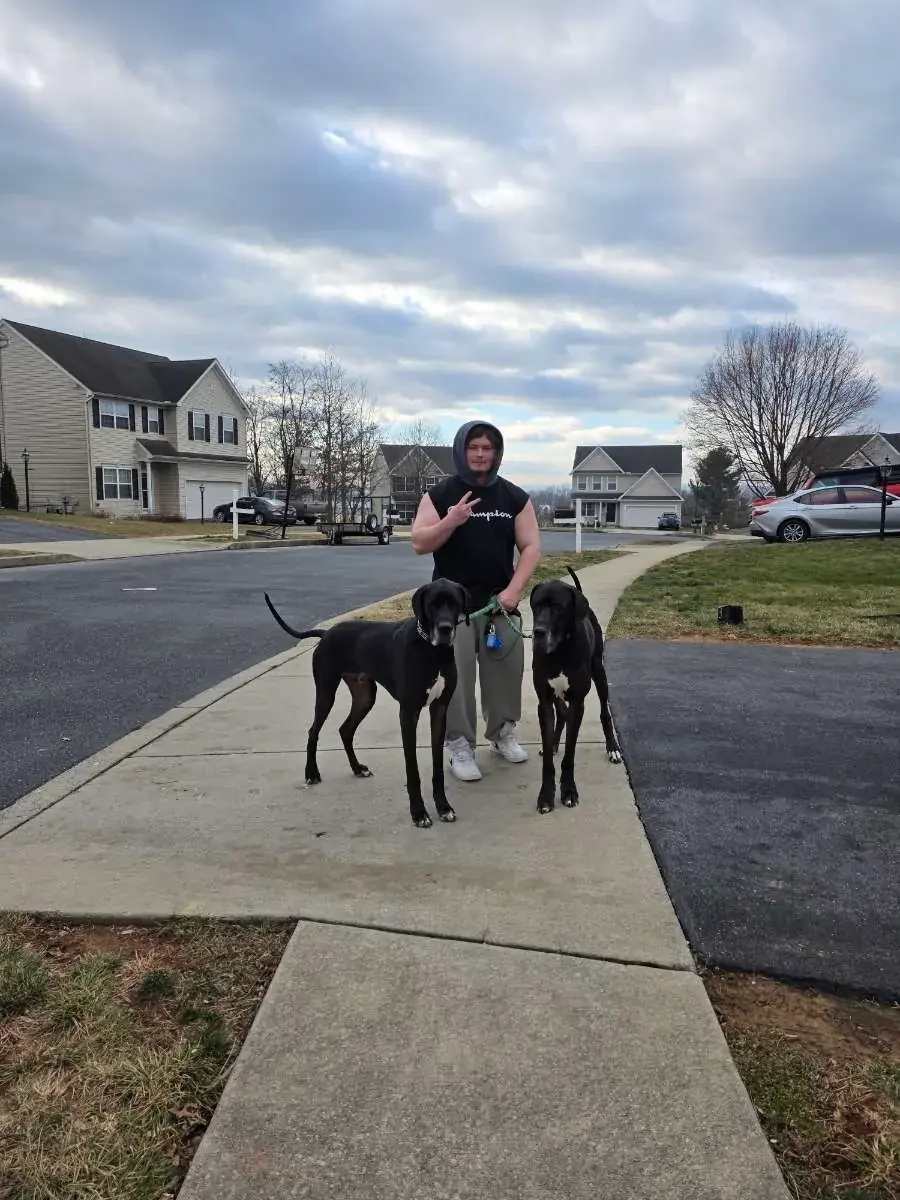 Big Mike walking two dogs providing professional pet sitting and dog walking services in Elizabethtown PA